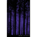 Night Vision