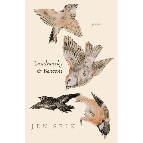 Landmarks and Beacons: poems