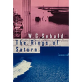 The Rings of Saturn