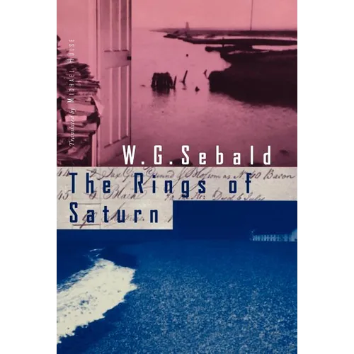 The Rings of Saturn