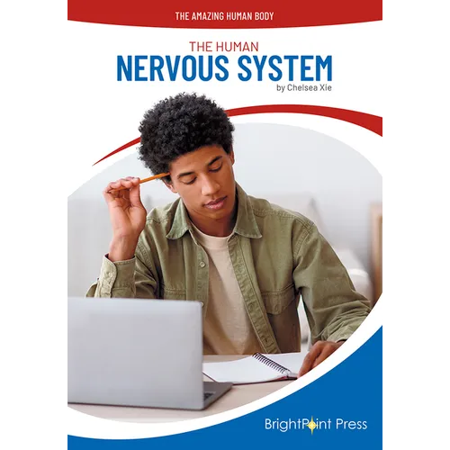 The Human Nervous System