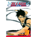 Bleach, Vol. 38: Fear for Fight