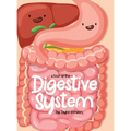 A Tour Of The Digestive System