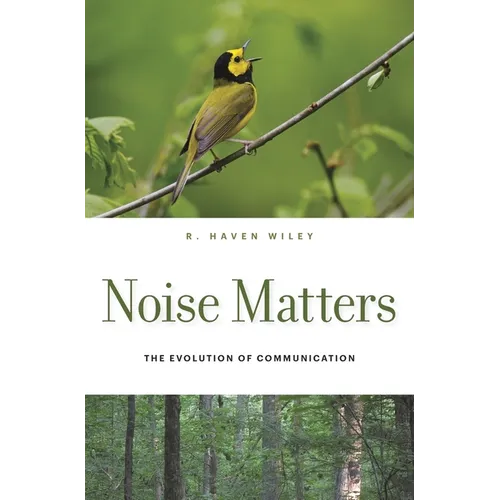 Noise Matters