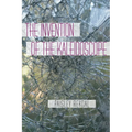 The Invention of the Kaleidoscope