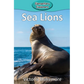 Sea Lions
