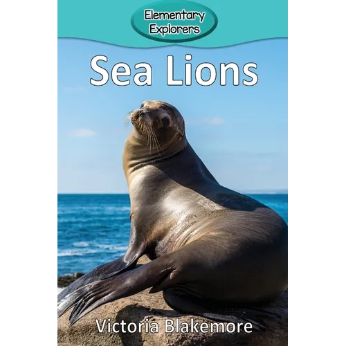 Sea Lions