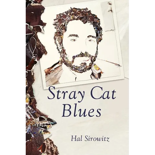 Stray Cat Blues