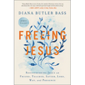 Freeing Jesus: Rediscovering Jesus as Friend, Teacher, Savior, Lord, Way, and Presence