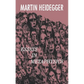 Essays in Metaphysics