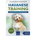 Havanese Training: Dog Training for Your Havanese Puppy