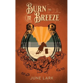 Burn the Breeze: A Thornbrush Ranch Romance