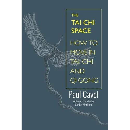 The Tai Chi Space: How to Move in Tai Chi and Qi Gong