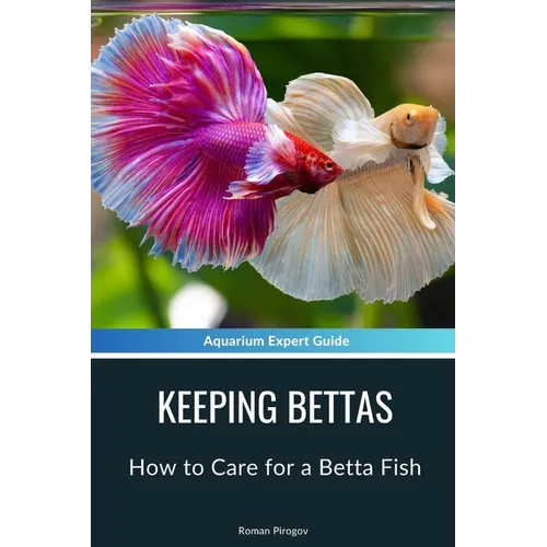 Keeping Bettas: How to Care for a Betta Fish