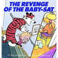 The Revenge of the Baby-SAT: A Calvin and Hobbes Collection Volume 6