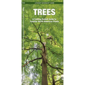 Trees: An Introduction to Familiar North American Species