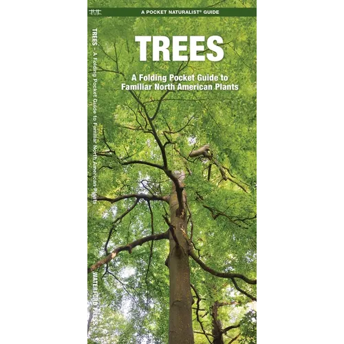Trees: An Introduction to Familiar North American Species