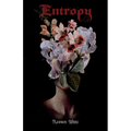 Entropy
