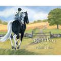 Beaufort the Painted Pony