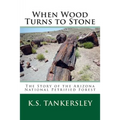 When Wood Turns to Stone: The Story of the Arizona National Petrified Forest