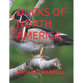 Ducks of North America