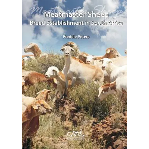 Meatmaster Sheep: Breed Establishment in South Africa