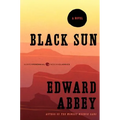 Black Sun