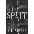 Split: a dark psychological thriller