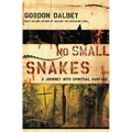 The No Small Snakes: A Journey Into Spiritual Warfare