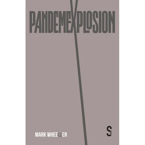 Pandemexplosion