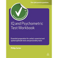 IQ and Psychometric Test Workbook: Essential Preparation for Verbal Numerical and Spatial Aptitude Tests and Personality Tests