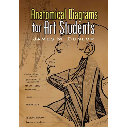 Anatomical Diagrams for Art Students