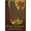 King Sequoia: The Tree That Inspired a Nation, Created Our National Park System, and Changed the Way We Think about Nature