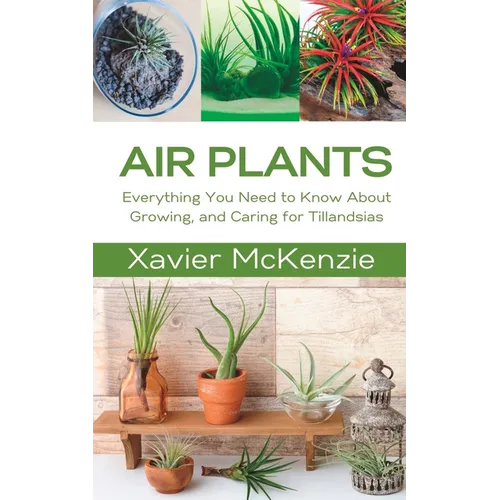 Air Plants: Everything You Need to Know About Growing, and Caring for Tillandsias