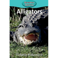 Alligators