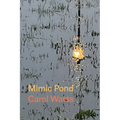 Mimic Pond
