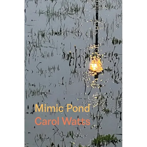Mimic Pond