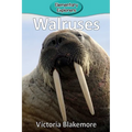 Walruses