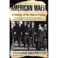 American Mafia: A History of Its Rise to Power