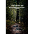 Good, Better, Best: A Guidebook for Performance Auditing