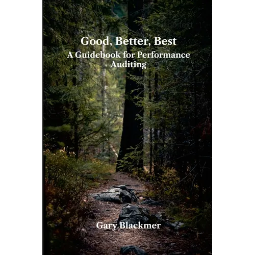 Good, Better, Best: A Guidebook for Performance Auditing