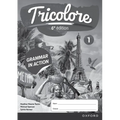 Tricolore 1 Grammar in Action Sixth Edition Workbook Pack