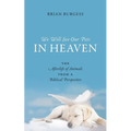 We Will See Our Pets in Heaven: The Afterlife of Animals from a Biblical Perspective
