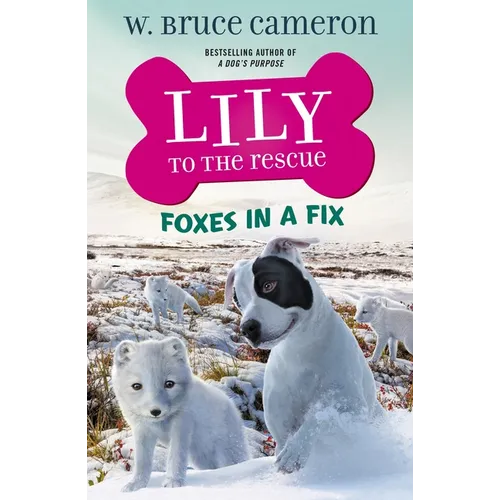 Lily to the Rescue: Foxes in a Fix