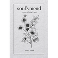 Soul's Mend