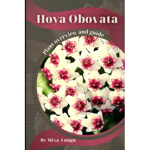 Hoya Obovata: Plant overview and guide