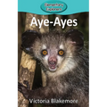 Aye-Ayes