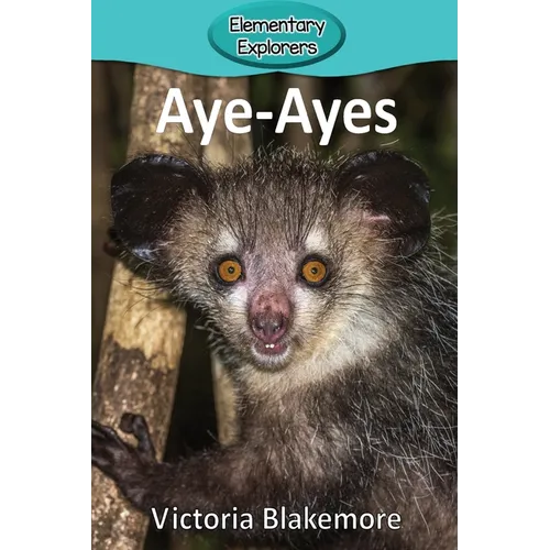 Aye-Ayes