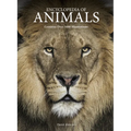 Encyclopedia of Animals