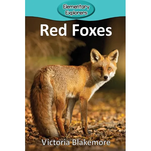 Red Foxes